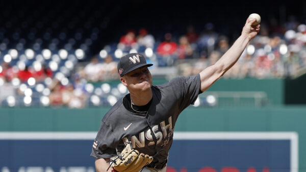 DJ Herz, Washington Nationals