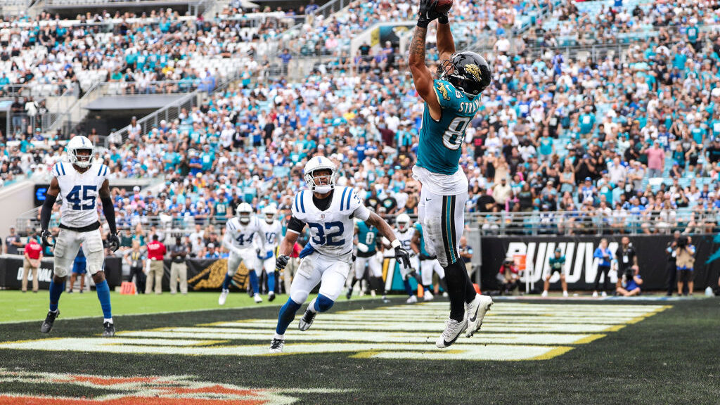 NFL Fantasy Football TE Start ‘Em Sit ‘Em: Week 17 - DrRoto.com