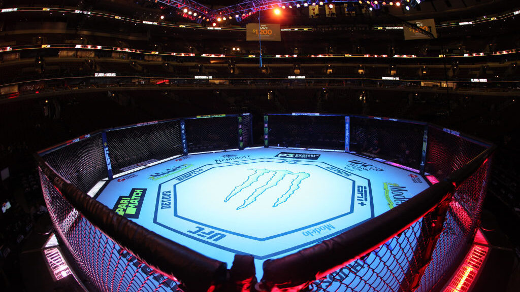General view of the UFC 238 octagon