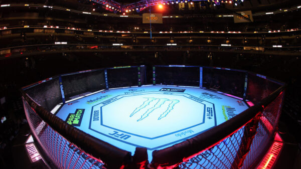 General view of the UFC 238 octagon