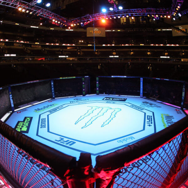 General view of the UFC 238 octagon