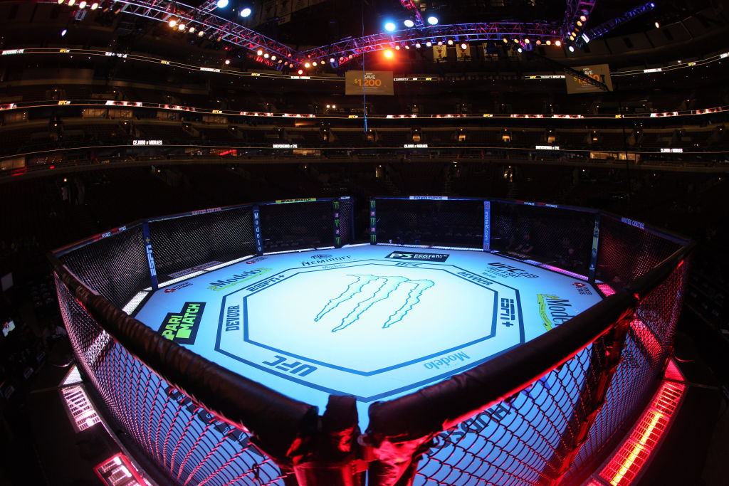 General view of the UFC 238 octagon